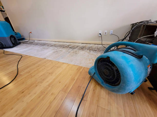 Professional Structural Drying technician working in West Bloomfield, MI